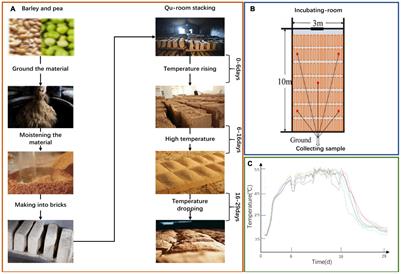 Correlation: Between Autochthonous Microbial Diversity and Volatile Metabolites During the Fermentation of Nongxiang Daqu